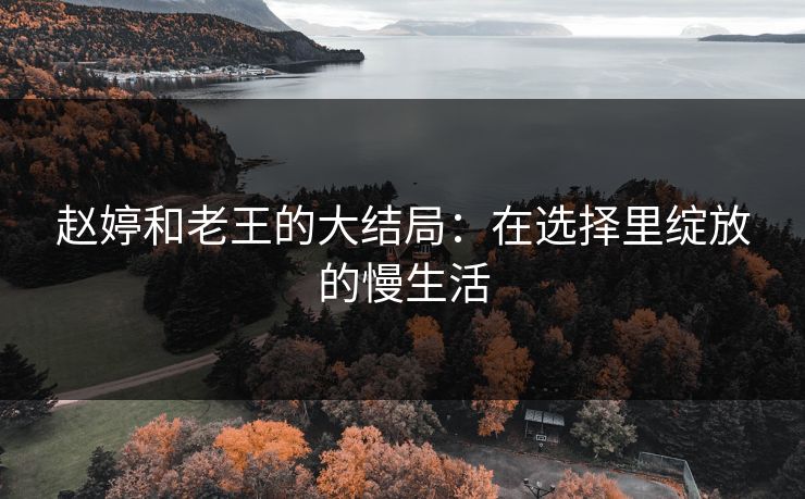 赵婷和老王的大结局：在选择里绽放的慢生活